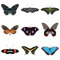Set of nine exotic butterflies Royalty Free Stock Photo