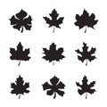 Set of nine Maple-leaf silhouette vector Royalty Free Stock Photo