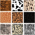 Set of nine seamless patterns with animal skin. Vector set Royalty Free Stock Photo