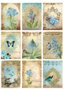 Set of nine vintage style cards tags collage blue morn bird butterfly floral images