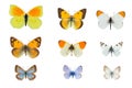 Set of nine yellow and blue butterflies on white Royalty Free Stock Photo