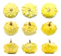 Set of nine yellow warty pumpkins angles isolated on white