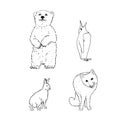 Set of northern winter animals: bear, penguin, rabbit, fox. Hand drawing sketch. Black outline on white background Royalty Free Stock Photo