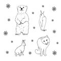 Set of northern winter animals: bear, penguin, rabbit, fox. Hand drawing sketch. Black outline on white background