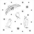 Set of northern winter birds: owl, bullfinch, puffin, penguin. Hand drawing sketch. Black outline on white background