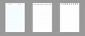 Set of notebook sheets isolated on gray background. Realistic white blanks of checkered, lined and dots paper. Different