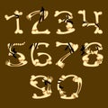 Set of numbers made in bone style Royalty Free Stock Photo