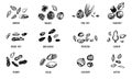 Set of Nut food grunge symbols with hazelnut, walnut, pine nuts, pecan, peanut. Healthy hand drawn snack collection for