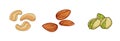 Set of nuts almond, cashew, pistachio. Cartoon vector icons