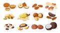 Set of nuts. Cartoon colorful nuts kernels, organic food healthy snack food for vegetarian, vegan diet. Vector isolated