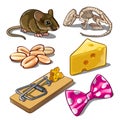 The set of objects on the subject of catching mice. Vector illustration.