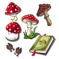 The set of objects on the subject of picking mushrooms isolated on a white background. Amanita poisonous mushroom