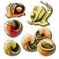 The set of objects on the subject of snails isolated on white background. Vector cartoon close-up illustration. Royalty Free Stock Photo