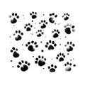 Bichon Frise Paw Prints: Detailed Ink Drawing On White Background