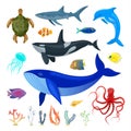 Set of ocean animals