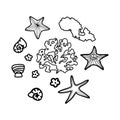 Set with ocean seaweed, starfish, shells in doodle style isolated on white background.Underwater. Vector outline illustration