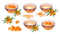 Set oil, honey, maple syrup sea buckthorn in glass bowl with berry. Natural fresh organic yellow vegetable oil realistic
