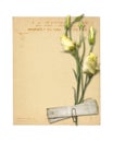 Set of old archival papers and vintage postcard with bouquet Royalty Free Stock Photo