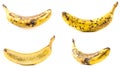 Set of old bananas on a white background Royalty Free Stock Photo