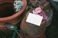 Set of old empty clay flower pots. Blank label mockup with rosemary herb, hydrangea and pink rose flowers. Moody Royalty Free Stock Photo