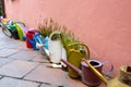 Set of old multi-colored metal watering cans for garden care Royalty Free Stock Photo