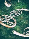 Set of old musical instruments. Royalty Free Stock Photo