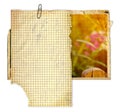 Set of Old photo paper texture isolated on background Royalty Free Stock Photo