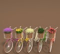 Set of old retro bicycles with multicolored flowers in baskets stand in a row on a brown background. Copy space. 3D render. Royalty Free Stock Photo