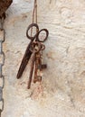 A set of old rusty items on a light background with scissors, keys, etc Royalty Free Stock Photo