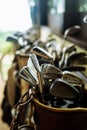 Set of old vintage golf clubs in bag