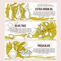 Set of Olive design templates banners.