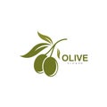 set of Olive logo vector illustration