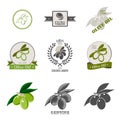 Set of olive oil labels and design elements. Royalty Free Stock Photo