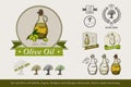 Set of olive oil labels,logos badges and design elements. Royalty Free Stock Photo