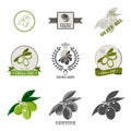 Set olive oil labels, logos and design elements. Royalty Free Stock Photo