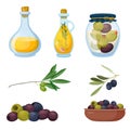 Set of olive products on white background