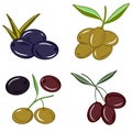 Set of olives on branch icons. Illustrations. Colorful sketch. Idea for decors, logo, patterns. Isolated vector art. Royalty Free Stock Photo