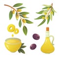 Set olives fruit. Olive oil bottle, branch, tree and rosemary wreath illustration in cartoon style.
