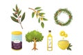 Set olives fruit. Olive oil bottle, branch, tree and rosemary wreath vector illustration in cartoon style.