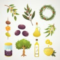 Set olives fruit. Olive oil bottle, branch, tree and rosemary wreath vector illustration in cartoon style.