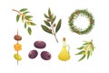 Set olives fruit. Olive oil bottle, tree branch, and rosemary wreath vector illustration in cartoon style. Royalty Free Stock Photo