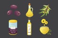 Set olives fruit. Olive oil bottle, tree branch vector illustration in cartoon style. Royalty Free Stock Photo