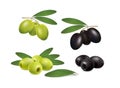 Set olives on white background Royalty Free Stock Photo