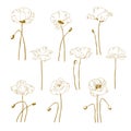 Set of one-colored outlined poppy Royalty Free Stock Photo