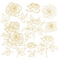 Set of one-colored outlined roses Royalty Free Stock Photo