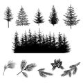 Set of onifer trees silhouettes on white Royalty Free Stock Photo