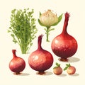 Set of onion, parsley and dill. Vector illustration Royalty Free Stock Photo