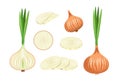 Set of Onions with Brown Husk, Eco Farm Production. Natural Plant, Garden Vegetable, Veggies Healthy Food, Ripe Bulb