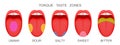 Set of open mouthes with sticking out tongues demonstrating receptor zones marked umami, sour, salty, sweet, bitter Royalty Free Stock Photo