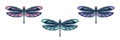 Set with openwork dragonfly icons. Colorful vector illustration. Isolated bright element with a beige outline on a white